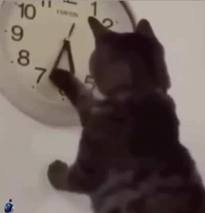 It's my dinner time already !!