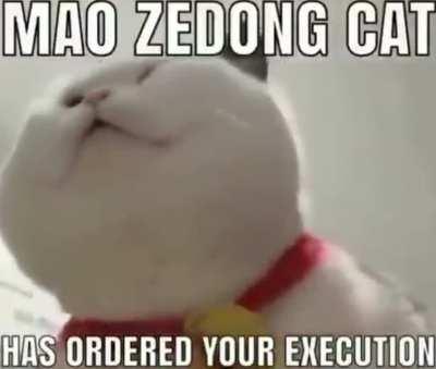 The chonkiness is mad