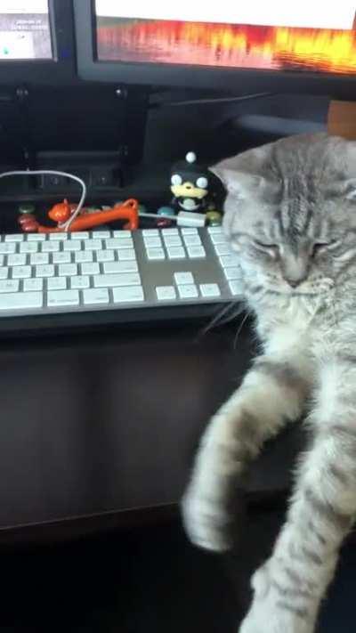 This is why productivity is down