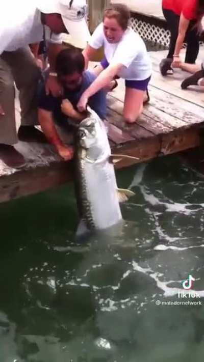 Apex predators doing rowdy shit