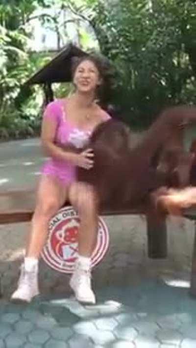 When monke does it is cute when I do it straight to jail