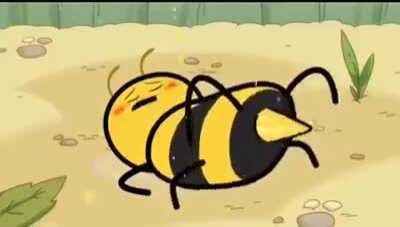 R/TIHI thanks I hate bee porn