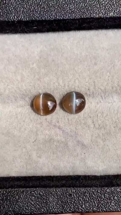 Matched chrysoberyl cat’s eye pair ✨ [NFS]