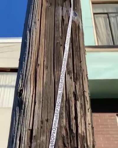 I include free wifi in my property (for which tip is raised to 69%). I am so generous!