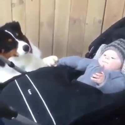 Have no fear, tiny human, the good boy is here