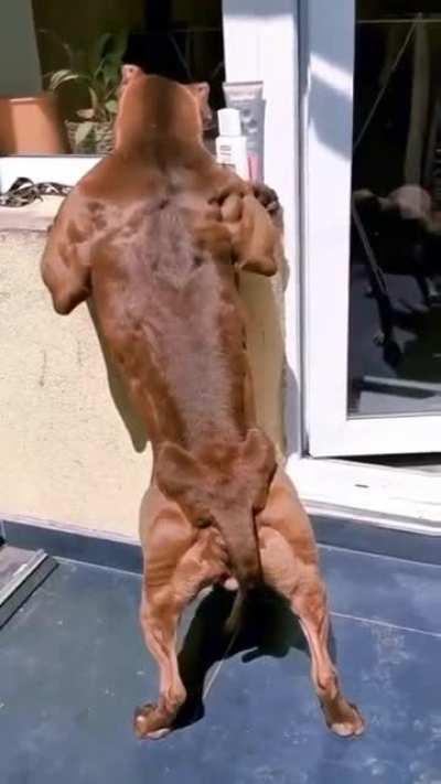 Is this achievable natty?