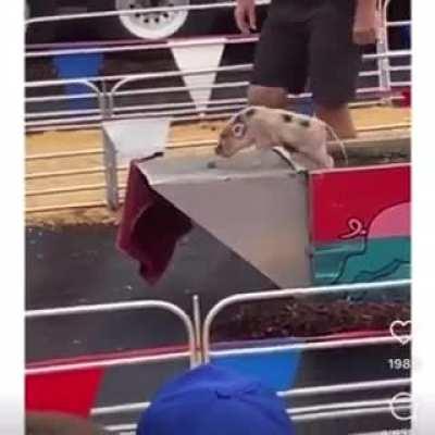 Lucky it did not need Bobby to save it.