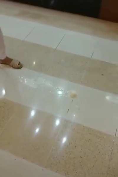 Tá triste? Come a casquinha KKKKKKKKKK minha amiga me mandou e eu achei que seria legal postar aqui kakaka