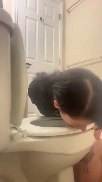 A fun little hobby anyone can do