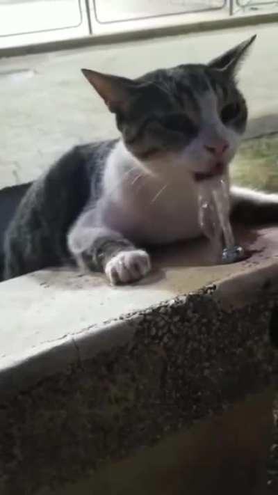 Needed a passerby to press the button