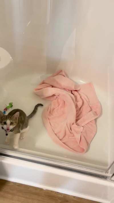 I needed time to clean her quarantine room (other bathroom) she had some words for me about it.