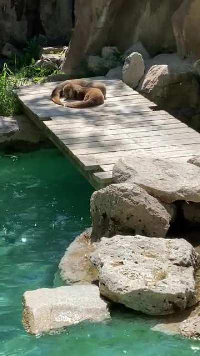 getting there stretches in