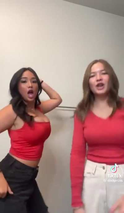 mytiktokvidsbackup - Video #3912