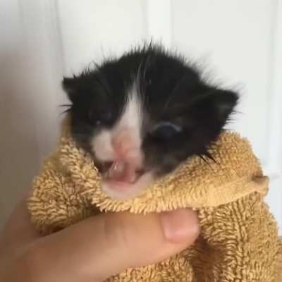 SHE SAID SHE READY TO GOOOO 😩🔥