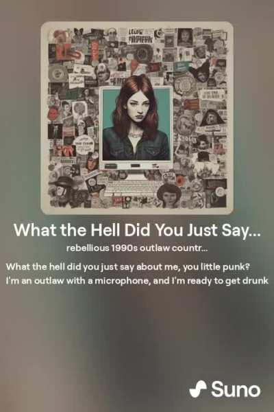 What The Hell Did You Just Say About Me You Little Punk?