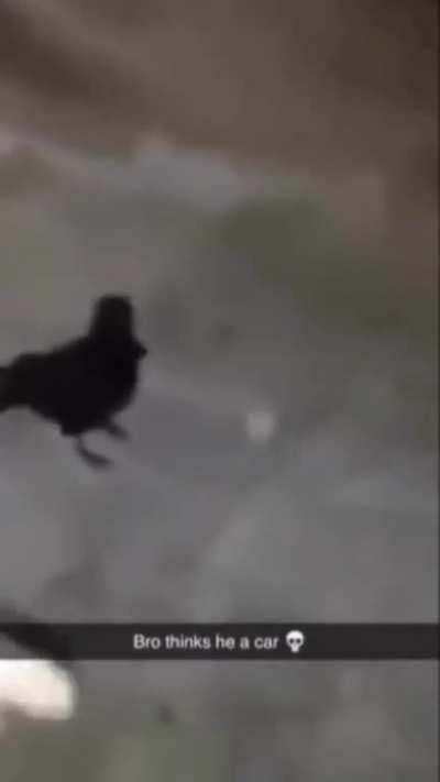 Bro They really said 🚙