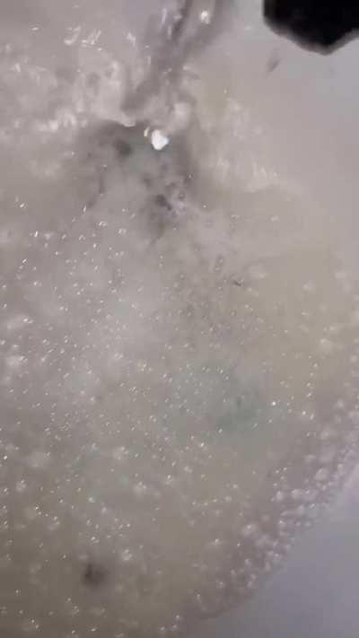 Getting them pristine