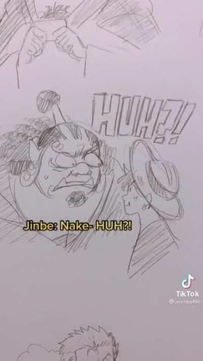 credi:alienbottle - >tik tok strawhats feud