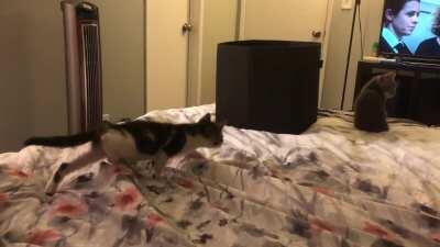 The most over exaggerated sneak I’ve ever seen