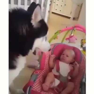 This is amazing. Best baby-sitter ever