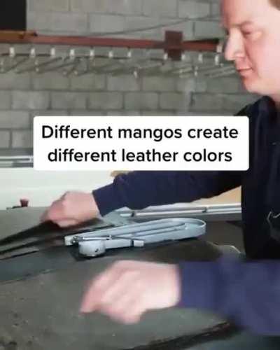 Vegan Leather using Mangoes...