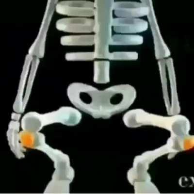 Rod me desbaneas del discord, hace 3 meses me banearon por pasar una rata muerta pero fue sin querer JHDJSJDJ Mi User es Godeto#9507