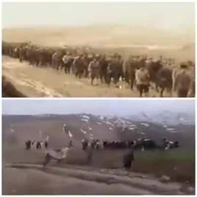 Savaştan korkarak kaçmış bir millete , tarihini savaşarak kanla yazmış bir milletin vatandaşlığı verilemez...