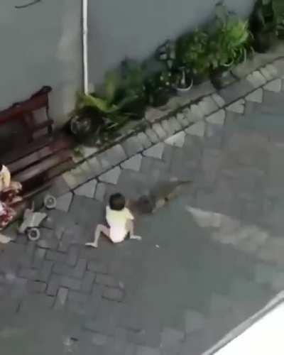 Monkey 🐒 on a scooter 🛴 attacks a girl.