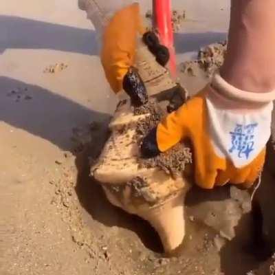 Ехх никогда не видел моря 😒