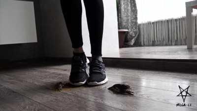 Pressed flat under her sneakers 
