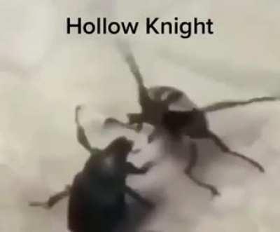 saw this on YouTube and I had to share (link to vid in comments)