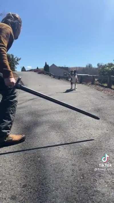 Found this on TikTok and thought it was Amazing 😂