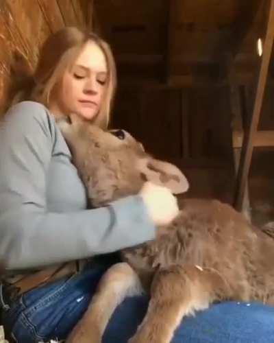 🐮Friendship 😍goals!