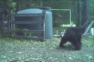 Actual footage of the precise moment when the Bears failed to take down the market and got it in the gay balls instead