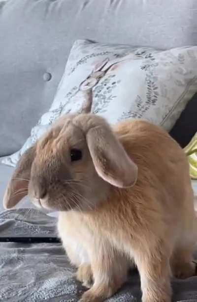 me when i hear somebody talking shit