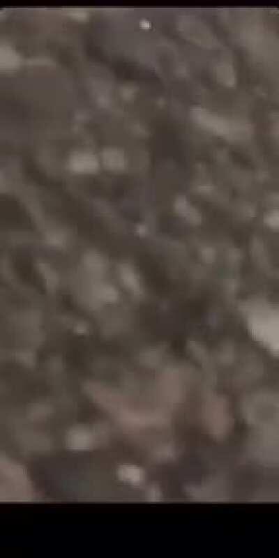 Dude smashes into oncoming traffic