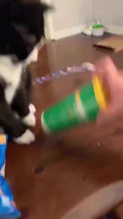 3rd time's the charm you see