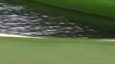 Greatest Golf Shot Ever