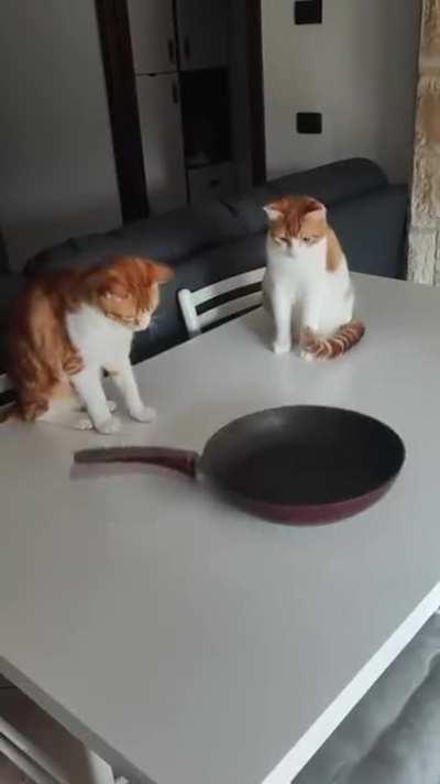 I haven't seen this before today