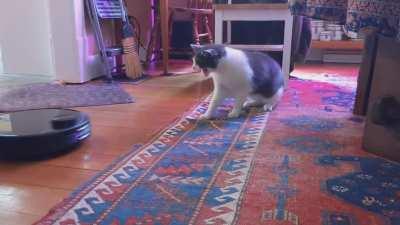 Just like his namesake, Mando HATES droids.