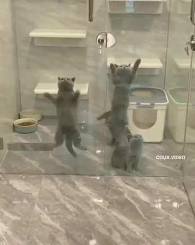 Вы-пус-кай !