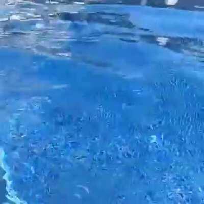 I just realized that I don't know how to swim