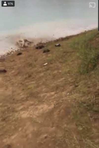 Always check depth of the water before you jump into it