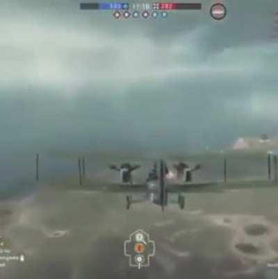 King of the ocean and the sky