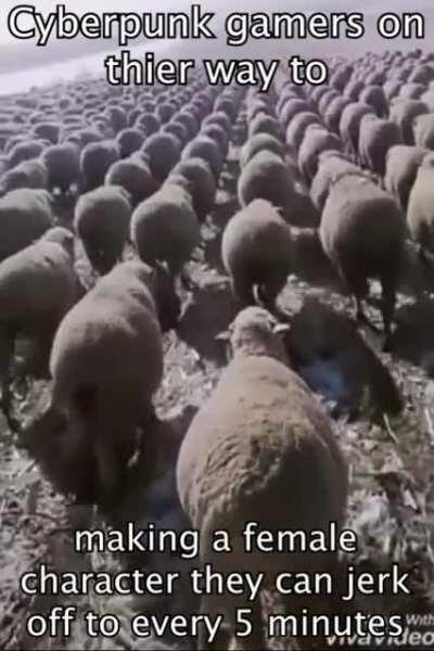 Finally I can make dream Waifuuuuuuu!!!!!! with epic big honkerssssss!!!!