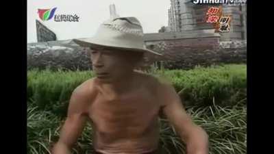 经典回顾之河南严皇