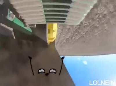 [L] Little guy is having a good time