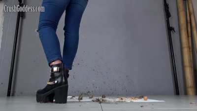 Lera (Crush Goddess) - Bug Crushed