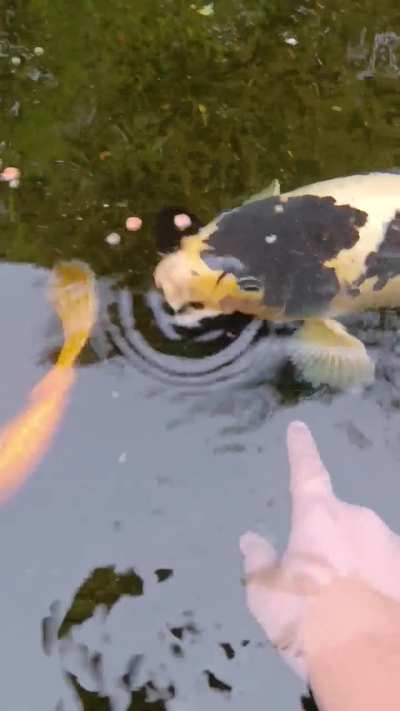 Recorded earlier today 