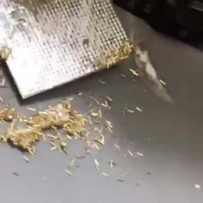 Literally the name of the subreddit